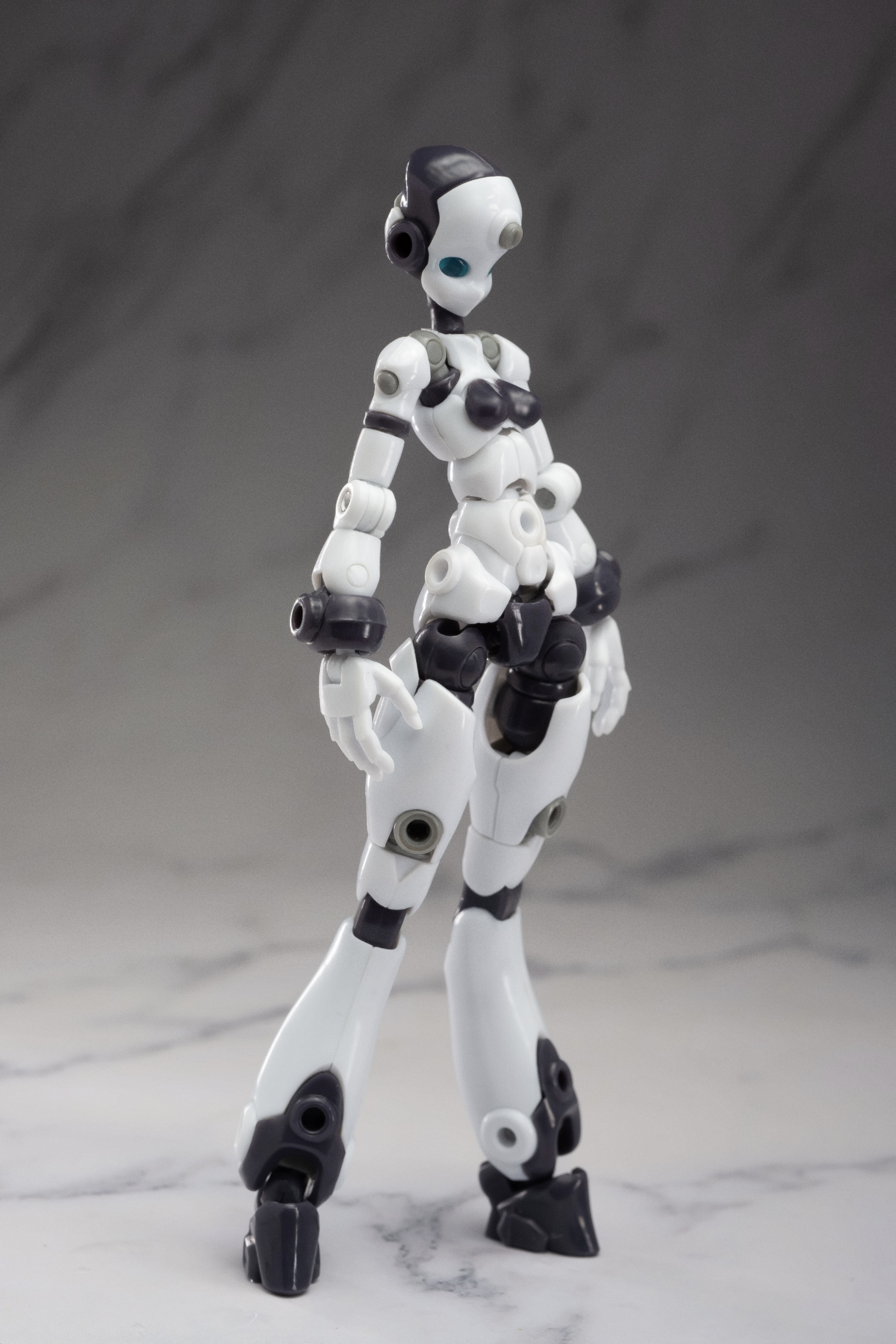 Altered Gene Base Body 01 1/12 Scale Model Kit