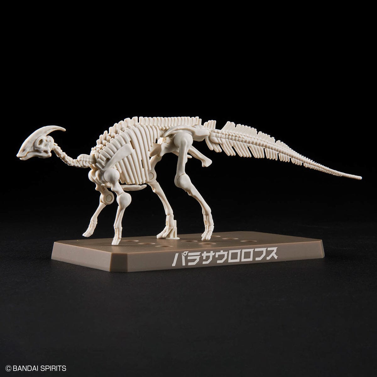 Plannosaurus Parasaurolophus Model Kit