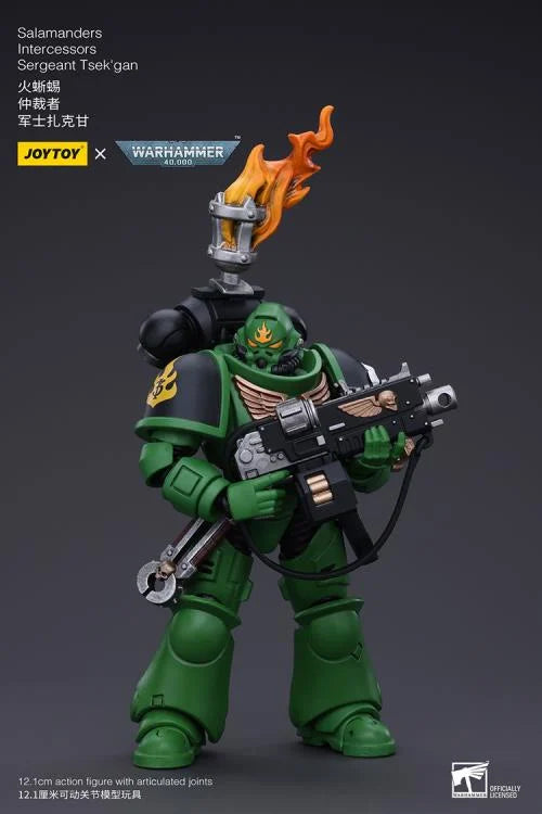 Warhammer 40k Salamanders Intercessors Segeant Tsek'gan 1/18 Scale Action Figure