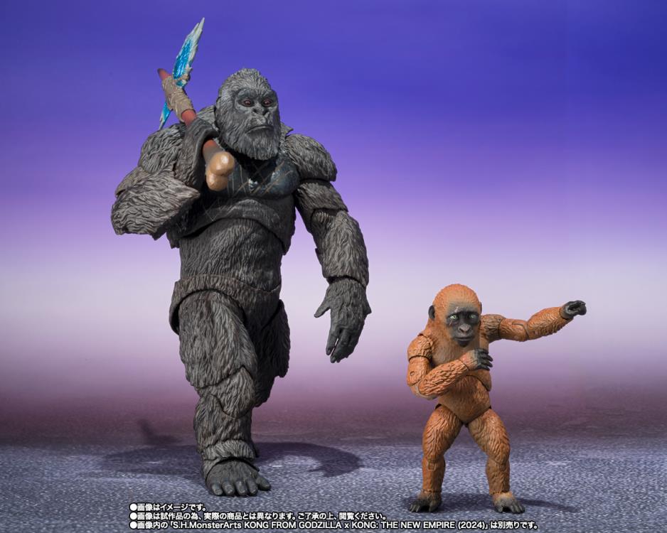 Godzilla x Kong The New Empire S.H.MonsterArts Suko & Mothra