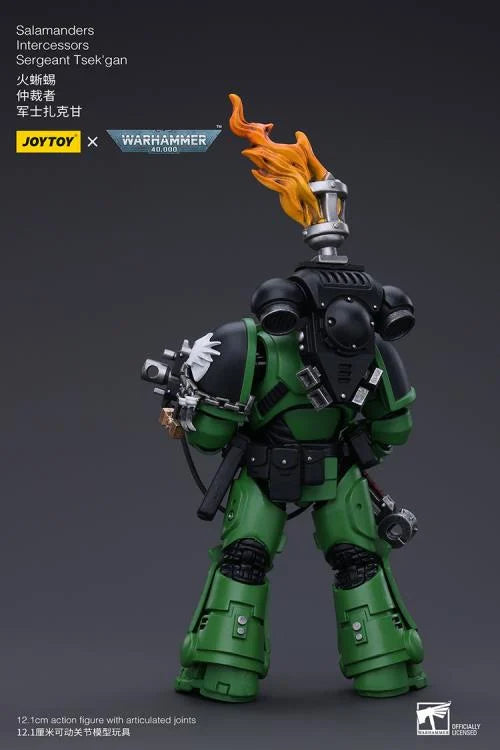 Warhammer 40k Salamanders Intercessors Segeant Tsek'gan 1/18 Scale Action Figure