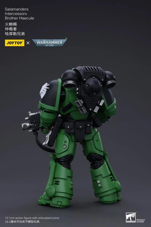 Warhammer 40k Salamanders Intercessors Brother Haecule 1/18 Scale Action Figure