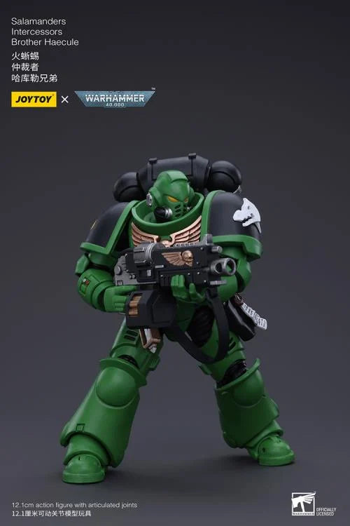 Warhammer 40k Salamanders Intercessors Brother Haecule 1/18 Scale Action Figure