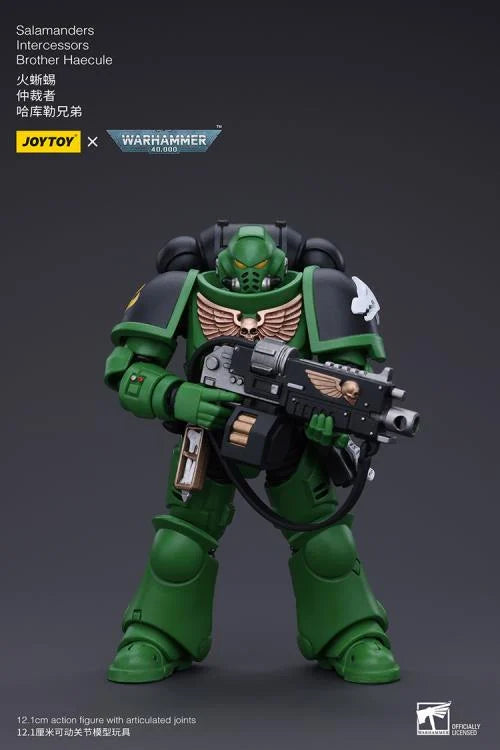 Warhammer 40k Salamanders Intercessors Brother Haecule 1/18 Scale Action Figure