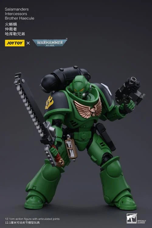 Warhammer 40k Salamanders Intercessors Brother Haecule 1/18 Scale Action Figure