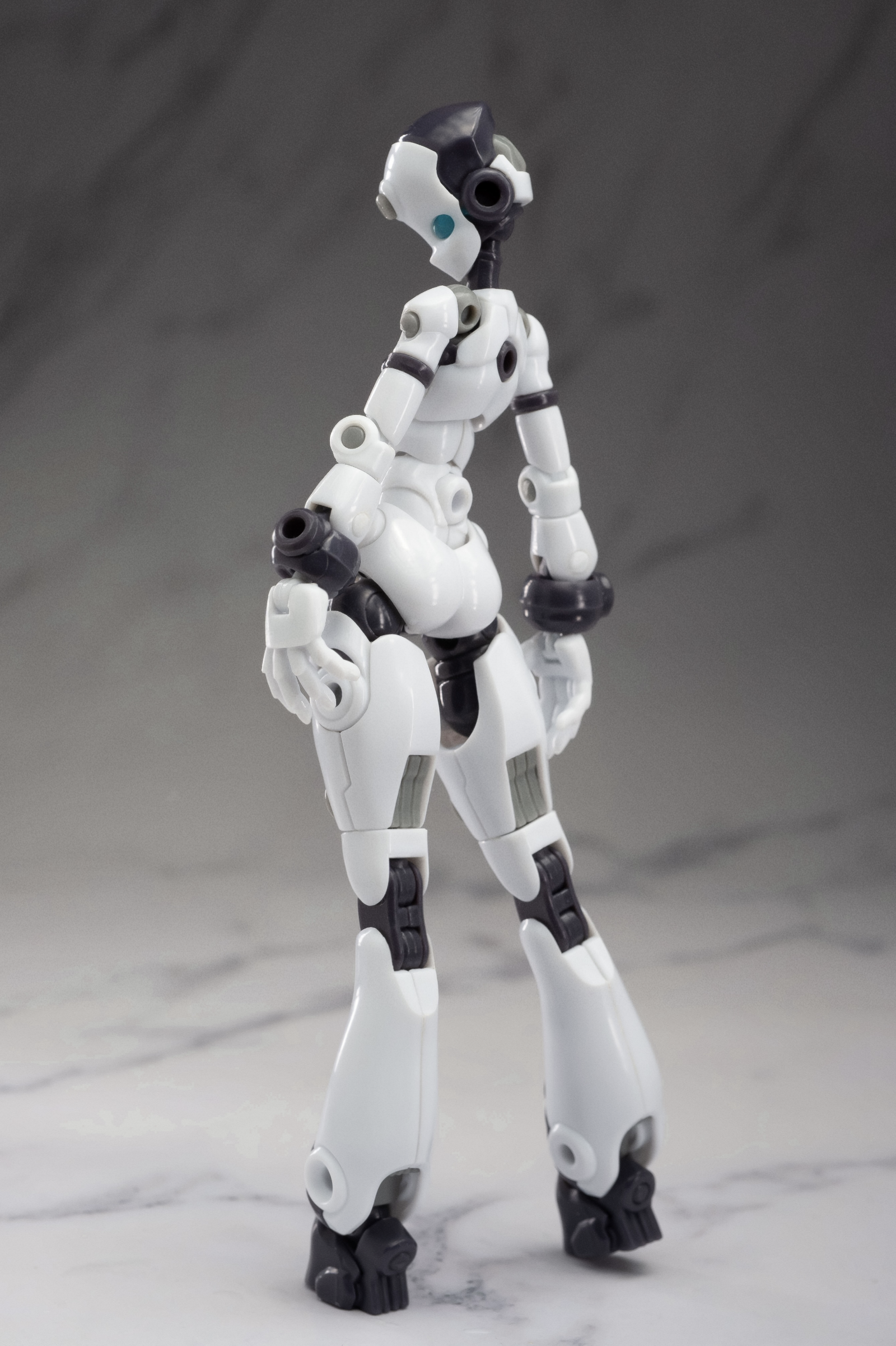 Altered Gene Base Body 01 1/12 Scale Model Kit