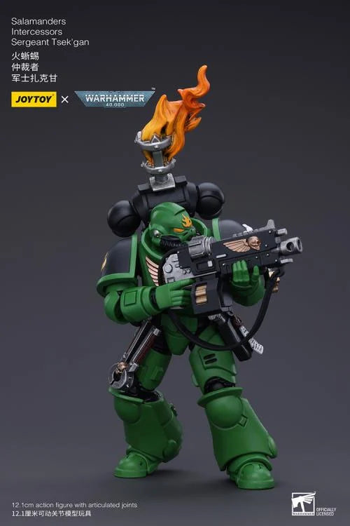 Warhammer 40k Salamanders Intercessors Segeant Tsek'gan 1/18 Scale Action Figure