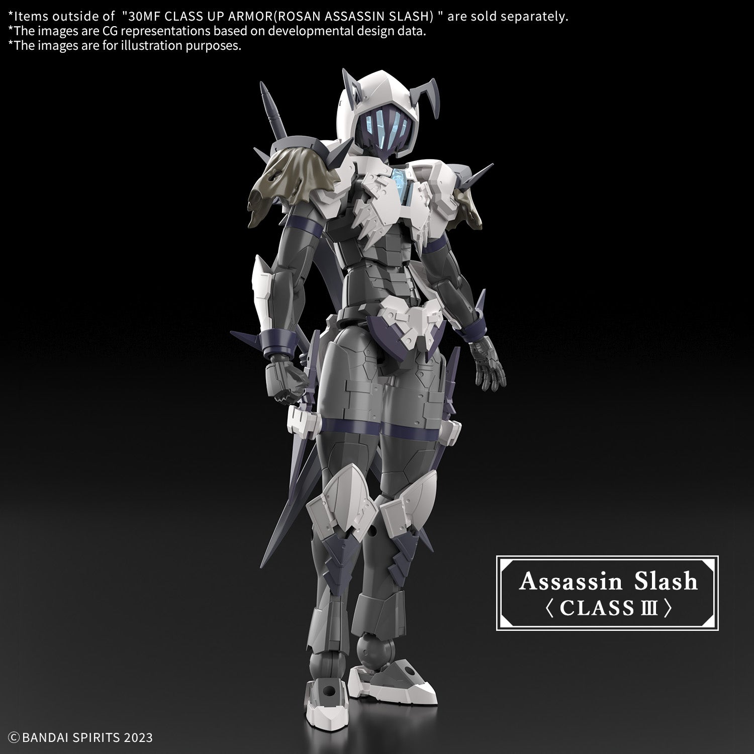 30 Minutes Fantasy Class-Up Armor Rosan Assassin Slash Accessory Set