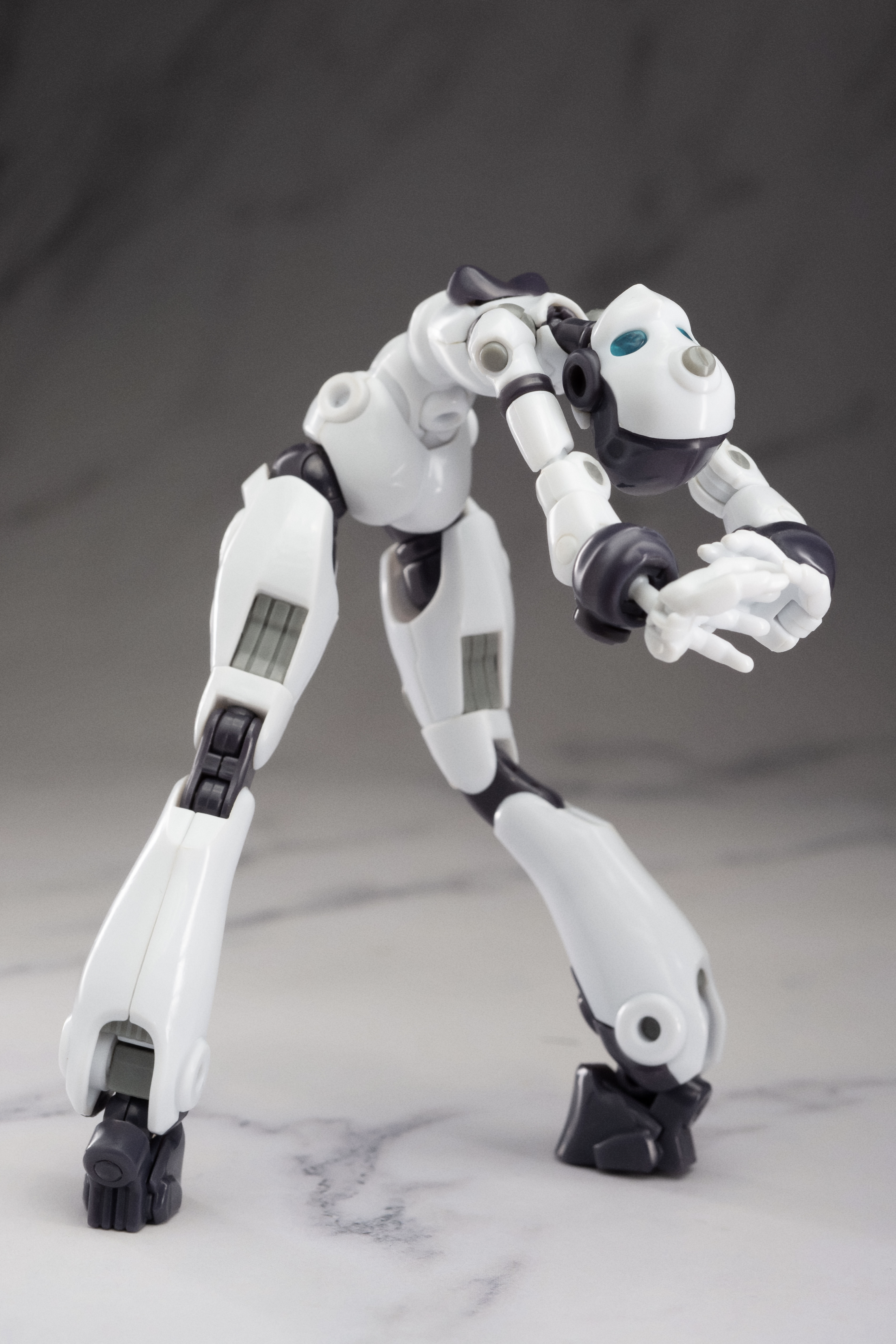 Altered Gene Base Body 01 1/12 Scale Model Kit