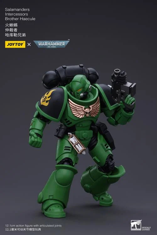 Warhammer 40k Salamanders Intercessors Brother Haecule 1/18 Scale Action Figure