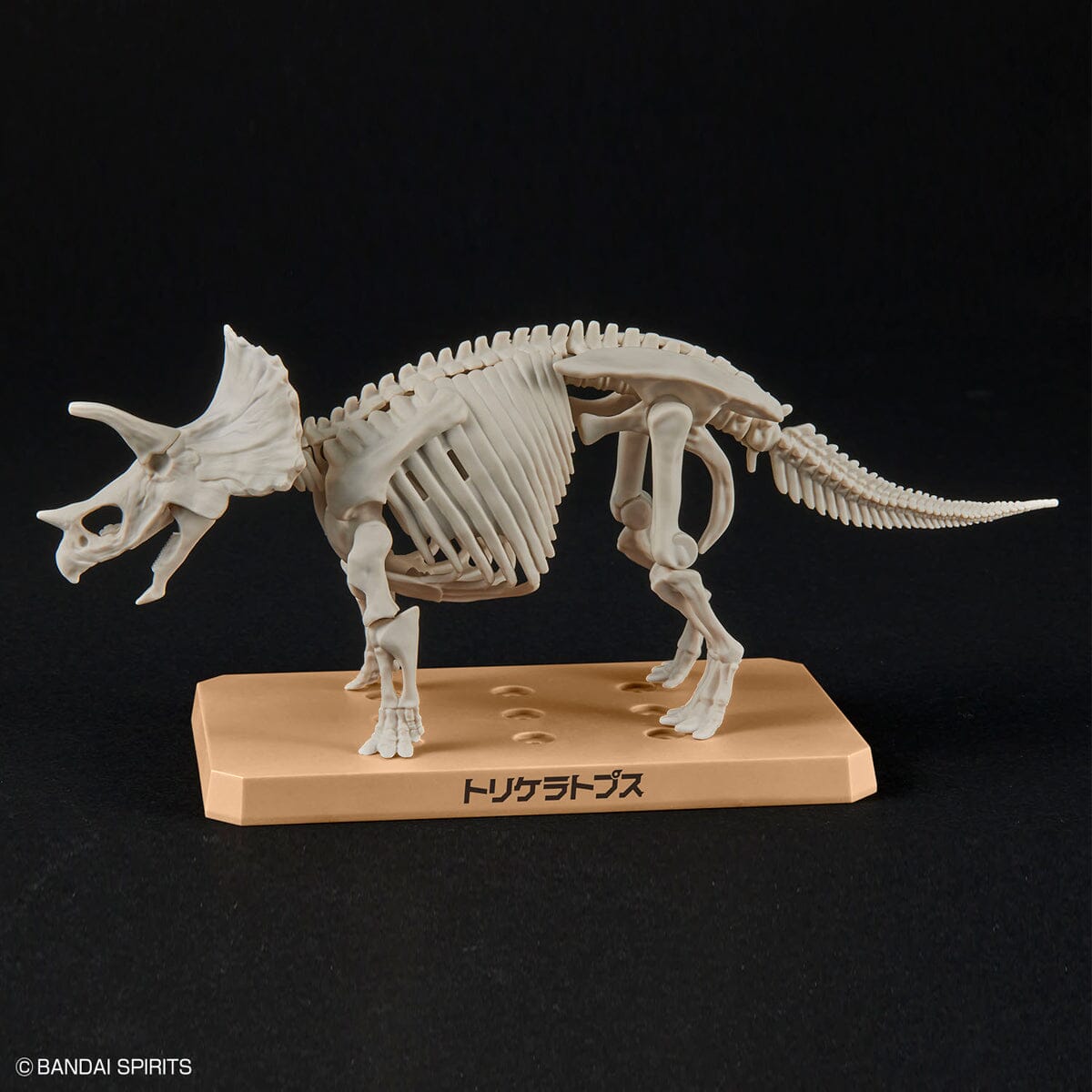 Plannosaurus Triceratops Model Kit