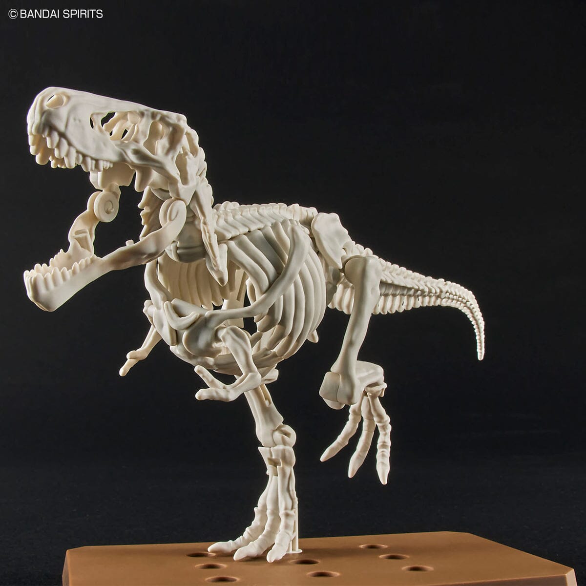 Plannosaurus Tyrannosaurus Model Kit