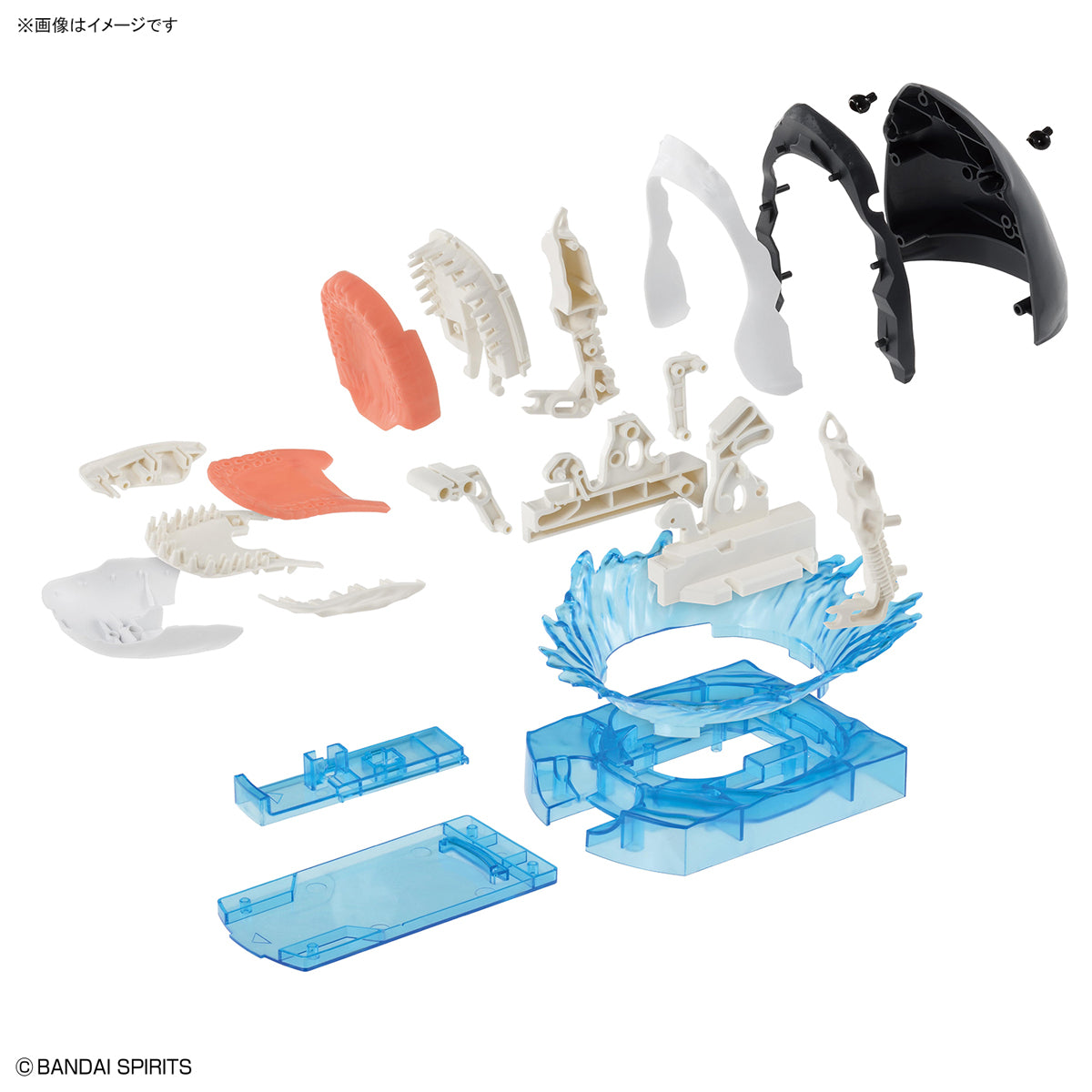 Exploring Lab Nature Shark Model Kit