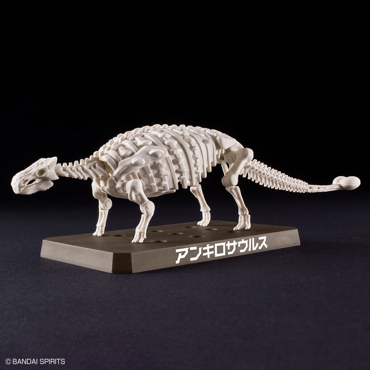 Plannosaurus Ankylosaurus Model Kit