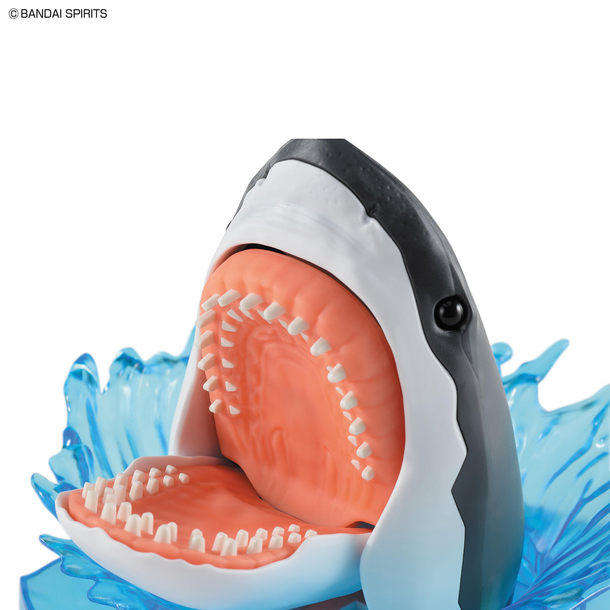 Exploring Lab Nature Shark Model Kit