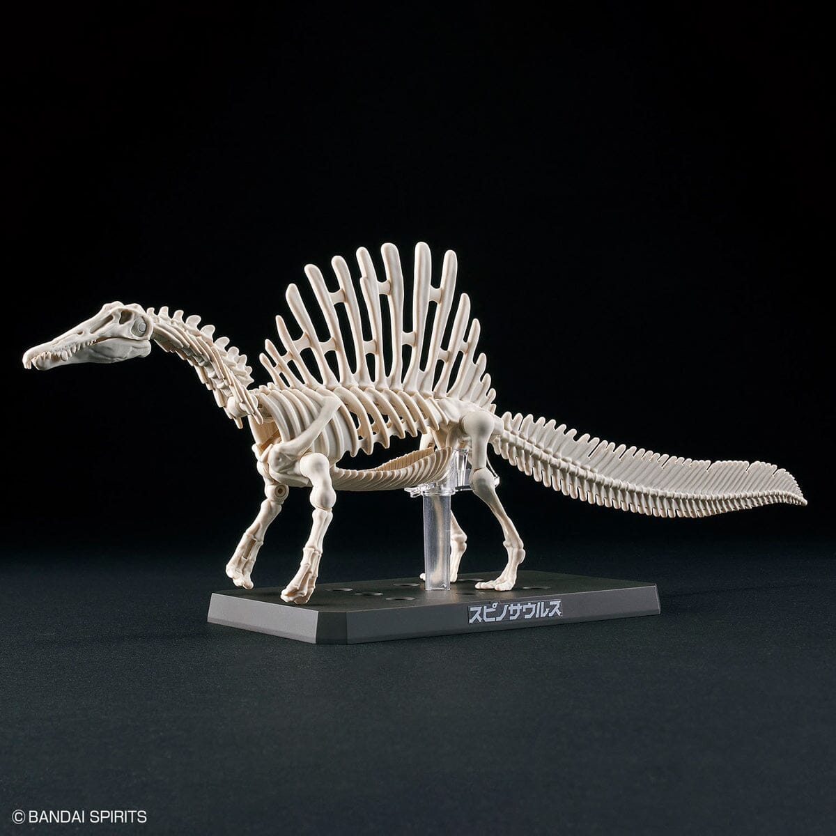 Plannosaurus Spinosaurus Model Kit