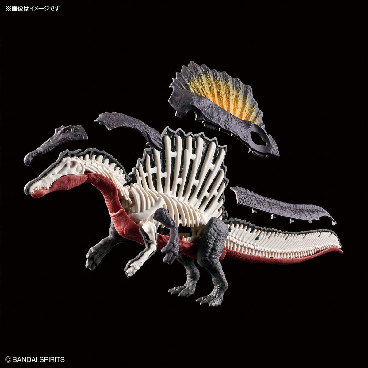 Plannosaurus Spinosaurus Model Kit