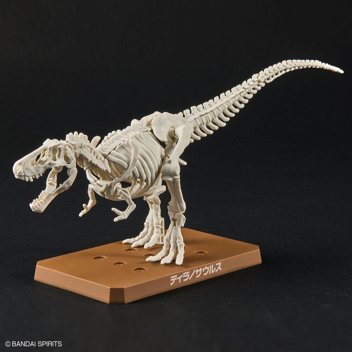 Plannosaurus Tyrannosaurus Model Kit