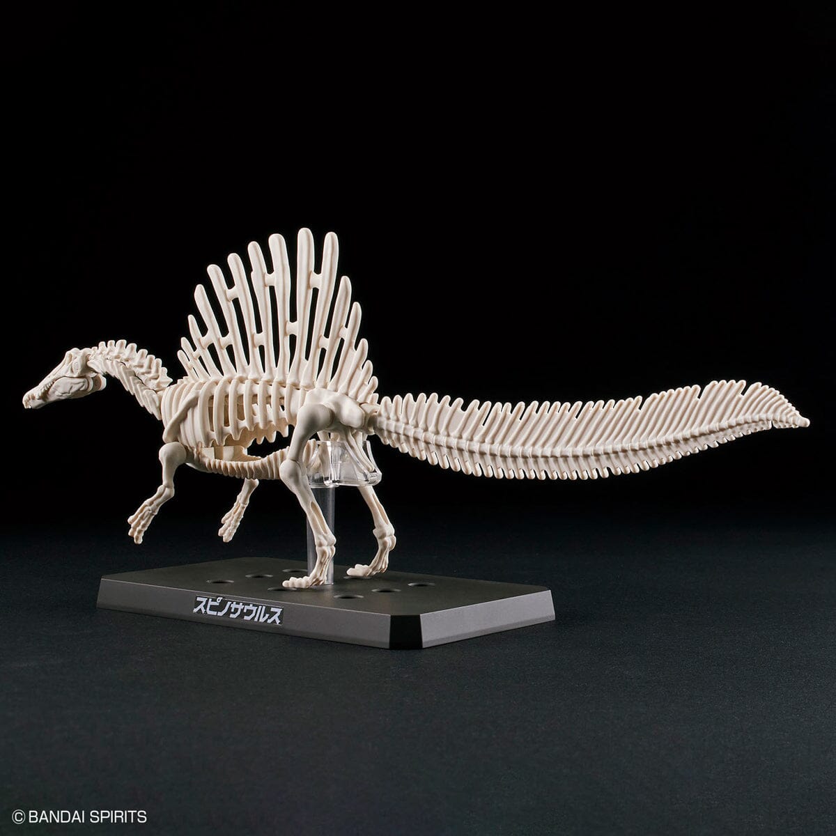 Plannosaurus Spinosaurus Model Kit