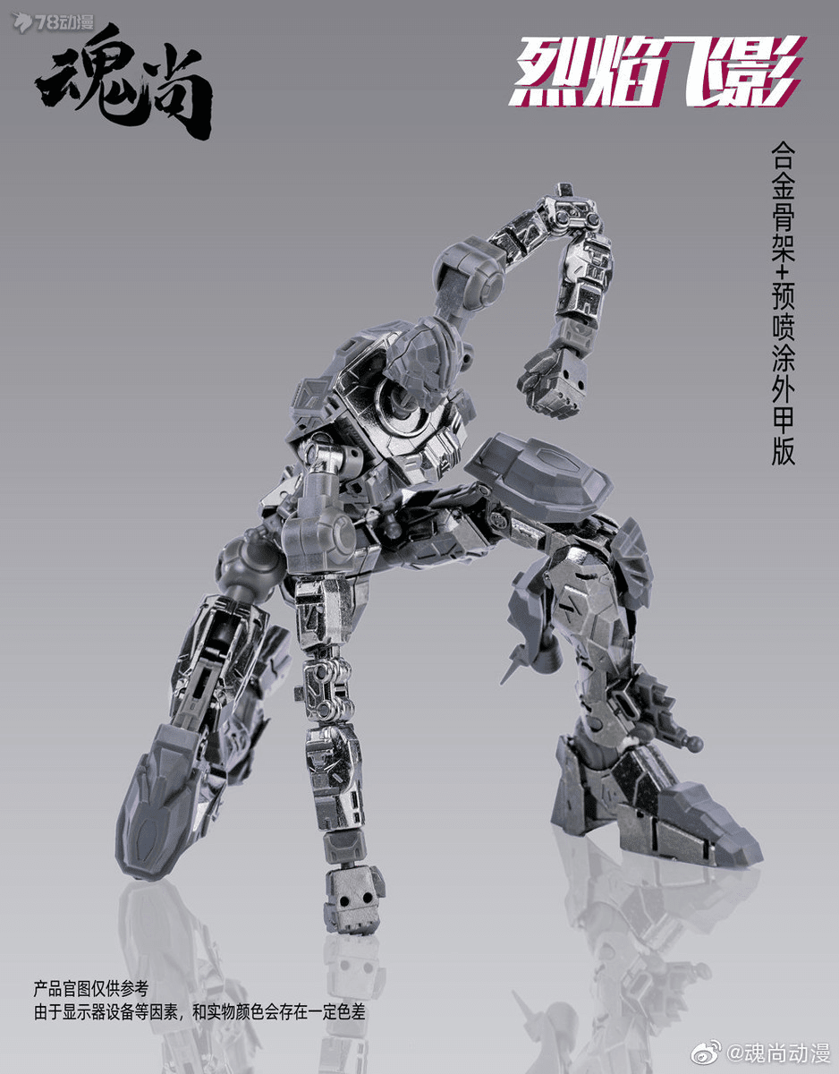 1/100 Flame SHADOW PLASTIC MODEL KIT Metal Frame Ver