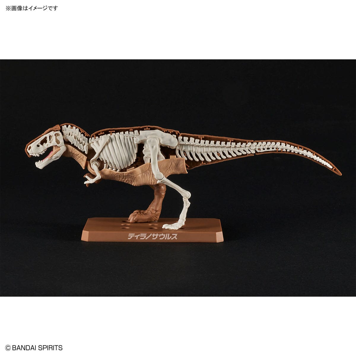 Plannosaurus Tyrannosaurus Model Kit