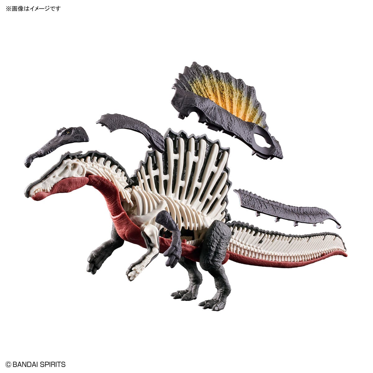 Plannosaurus Spinosaurus Model Kit