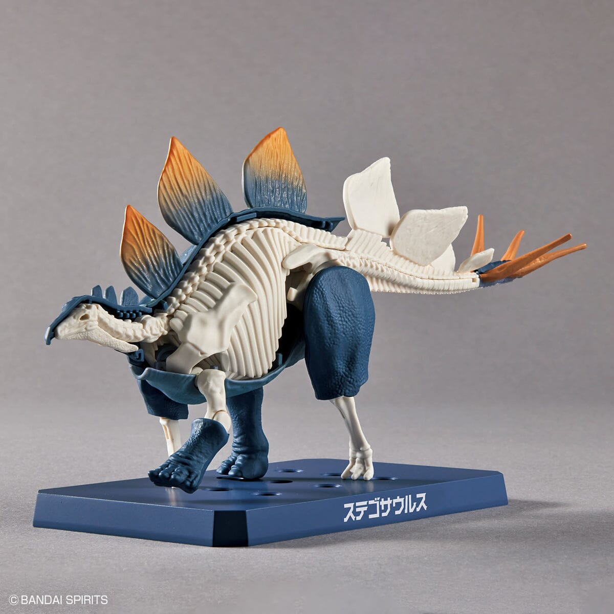 Plannosaurus Stegosaurus Model Kit