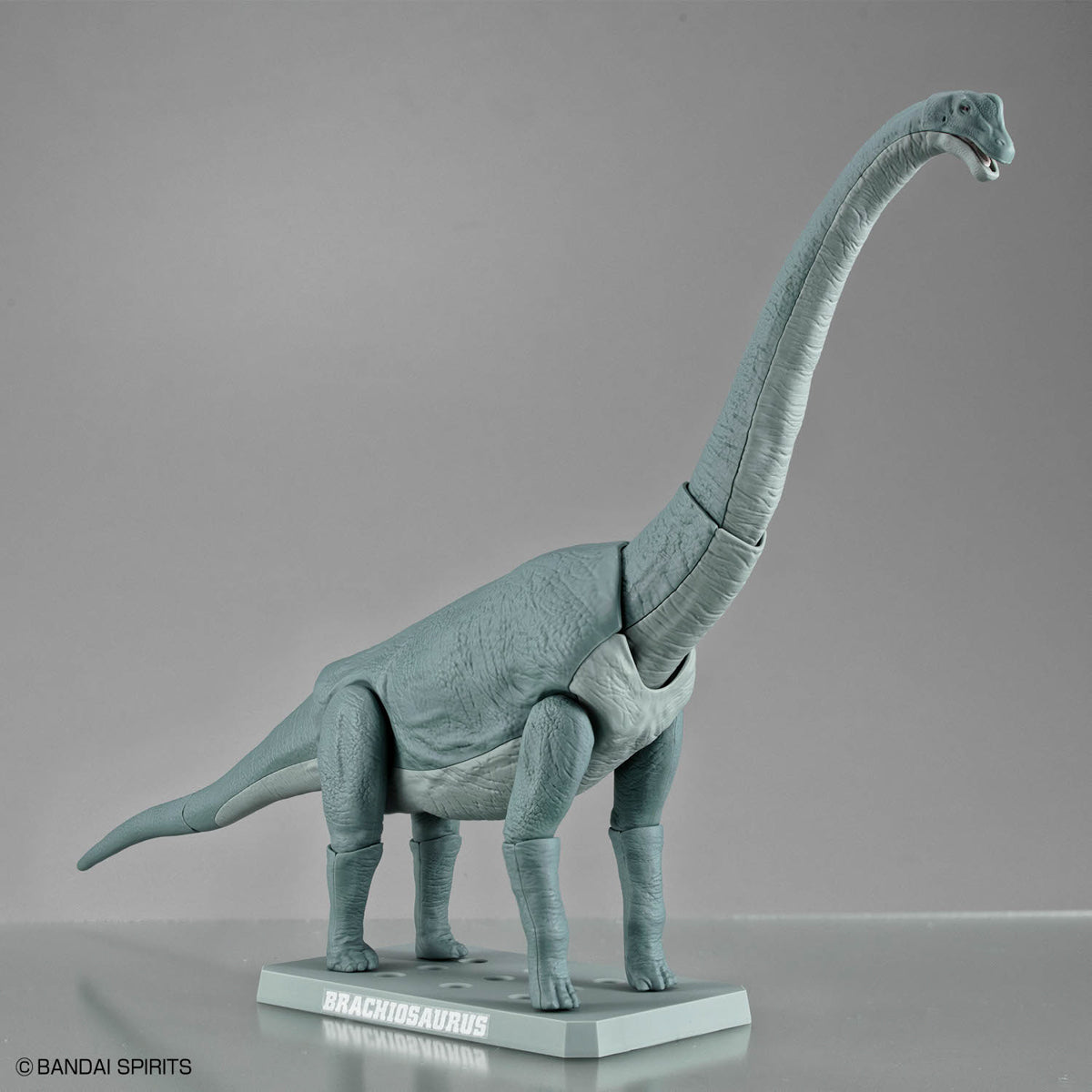 Plannosaurus Brachiosaurus Model Kit