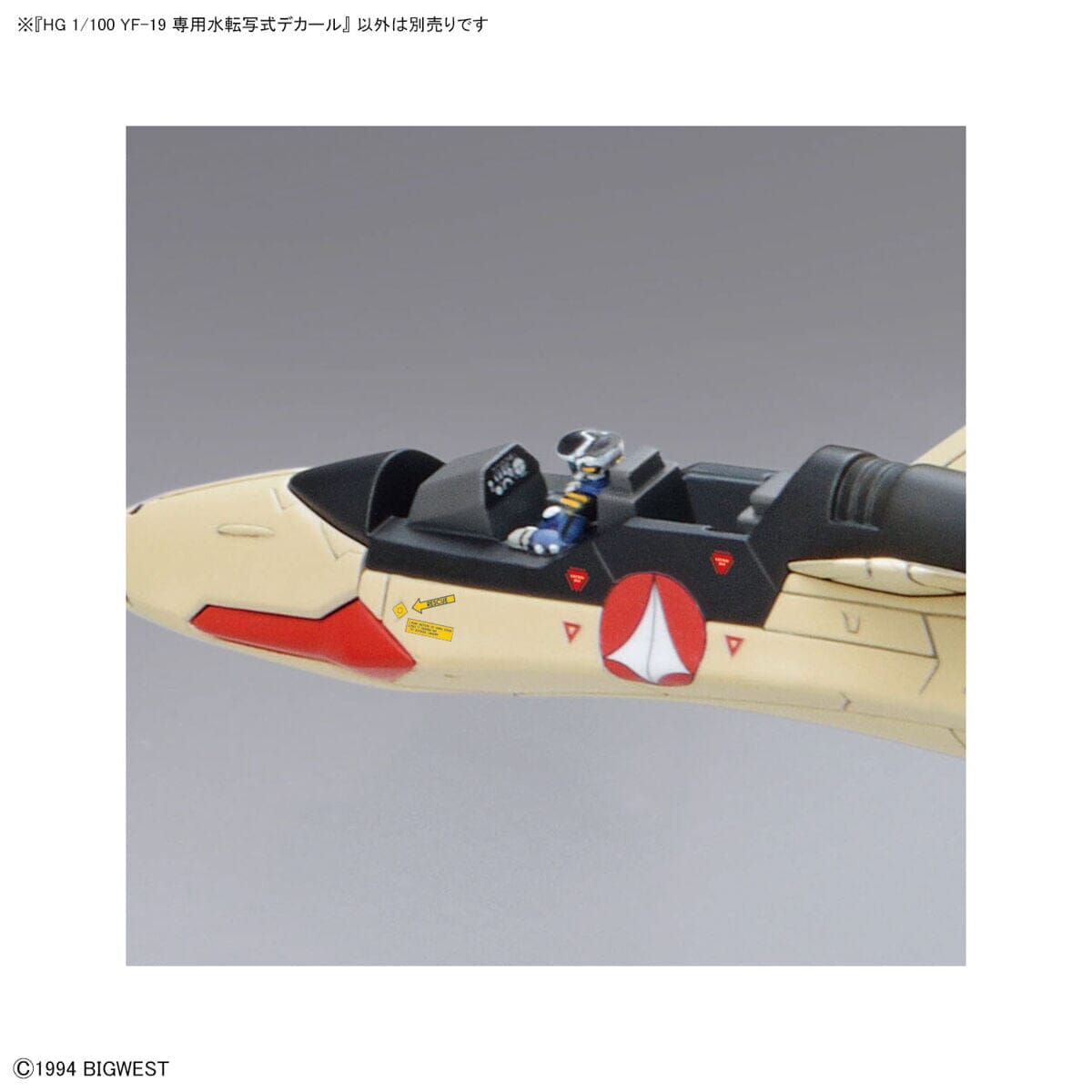 Macross Plus HG YF-19 Isamu Daison Machine 1/100 Scale Water Decal Sheet