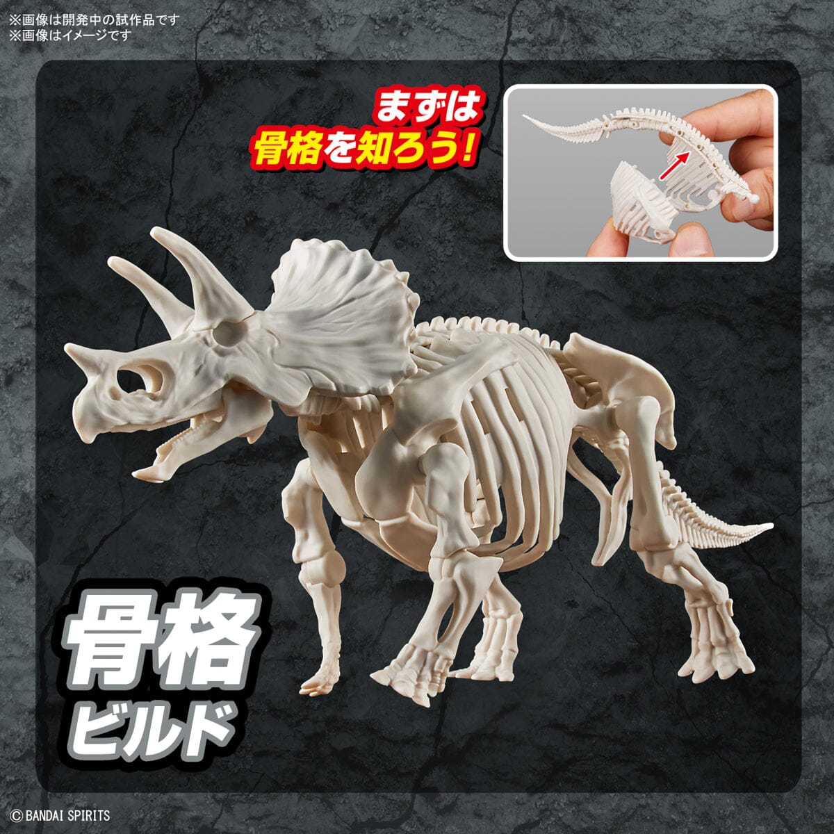 Plannosaurus Triceratops Model Kit