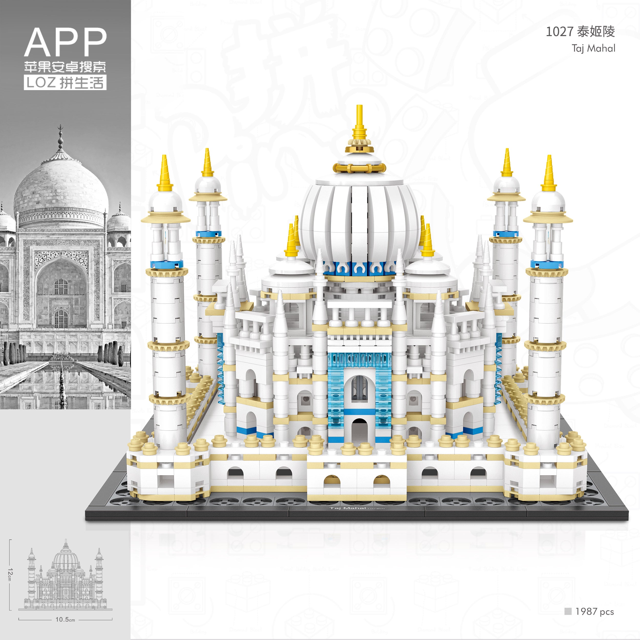 Taj Mahal 1027