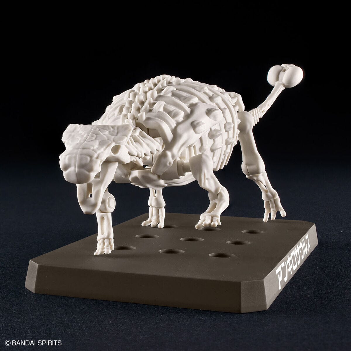 Plannosaurus Ankylosaurus Model Kit