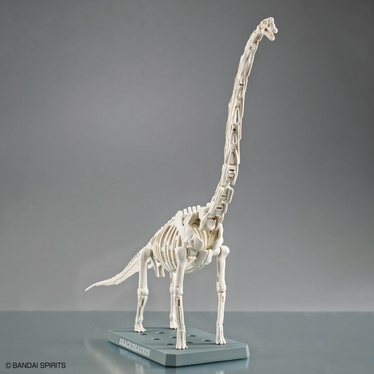 Plannosaurus Brachiosaurus Model Kit