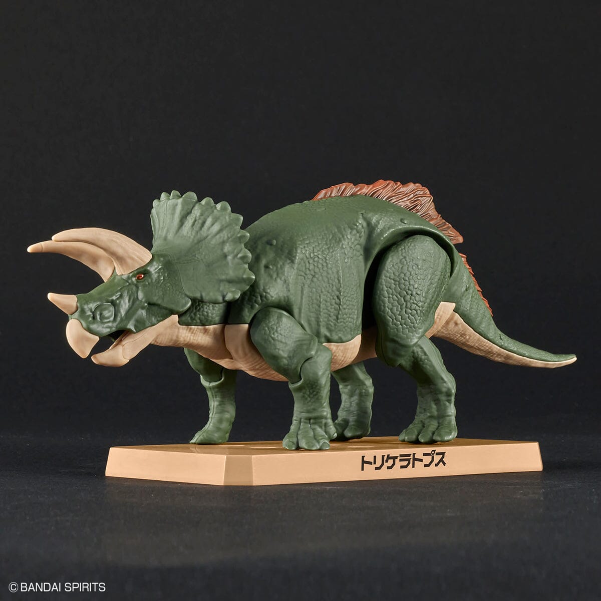 Plannosaurus Triceratops Model Kit