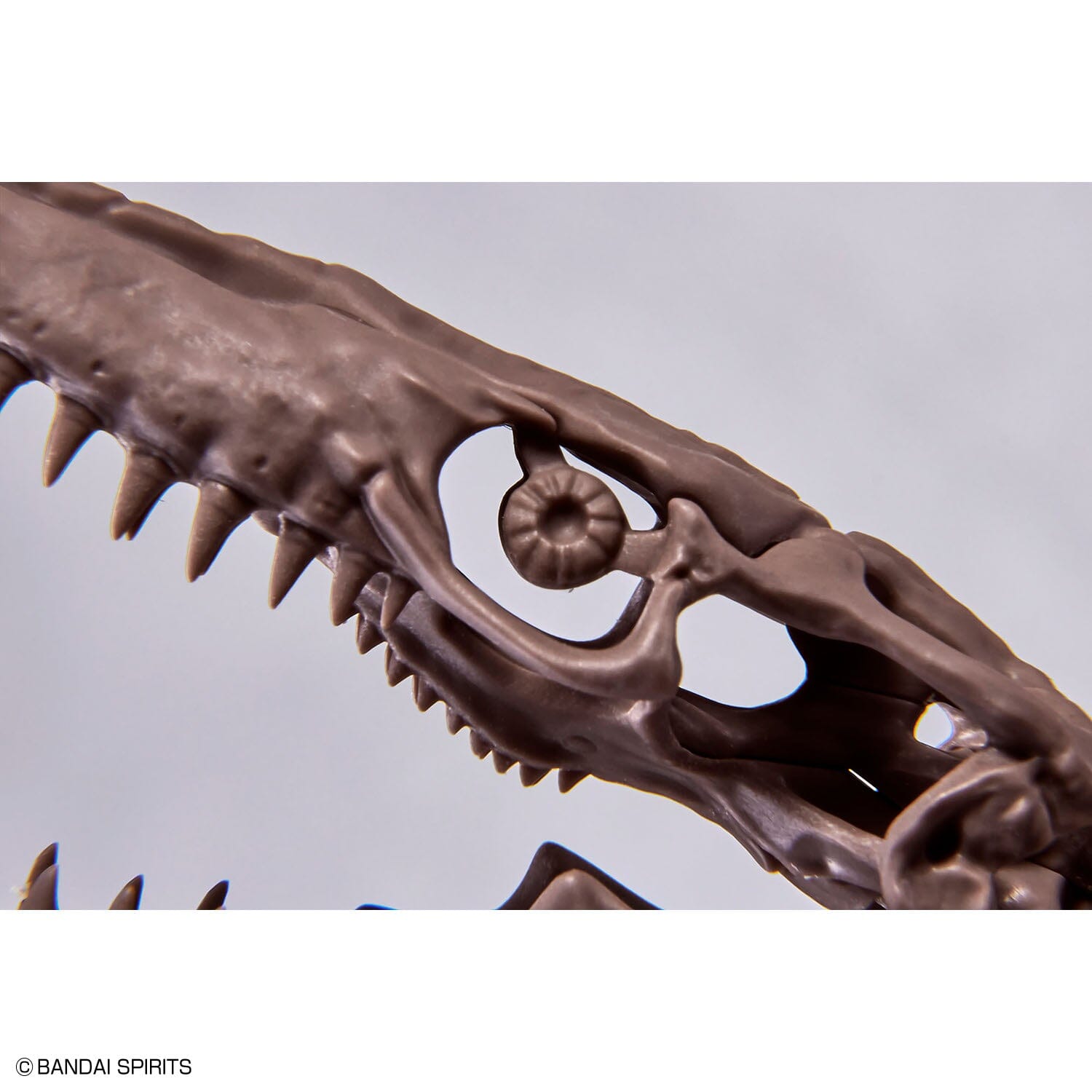 Imaginary Skeleton Mosasaurus 1/32 Scale Model Kit