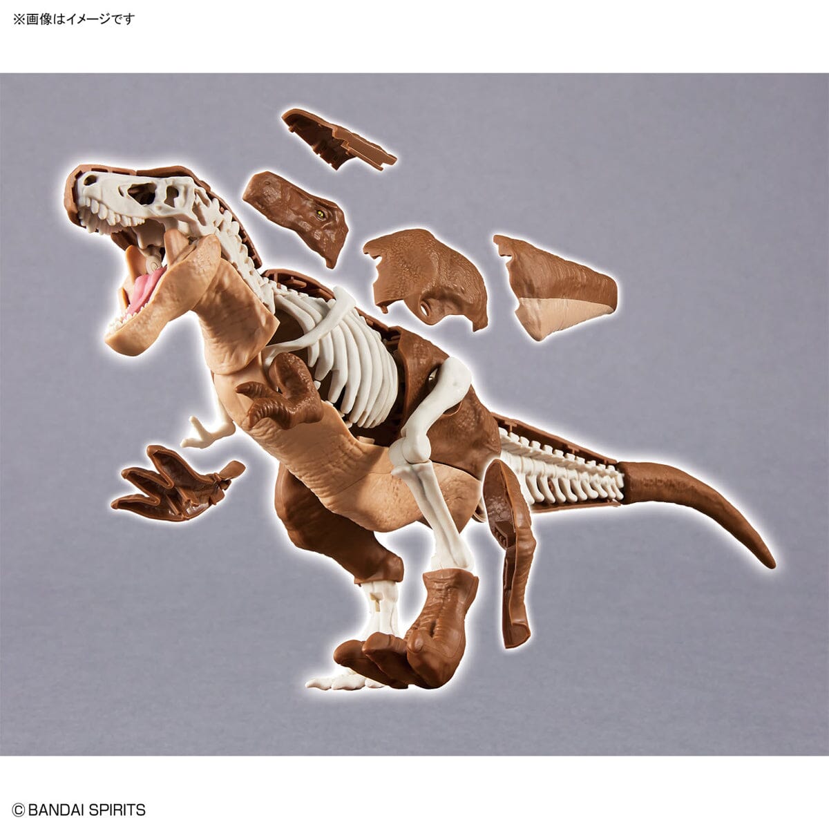 Plannosaurus Tyrannosaurus Model Kit