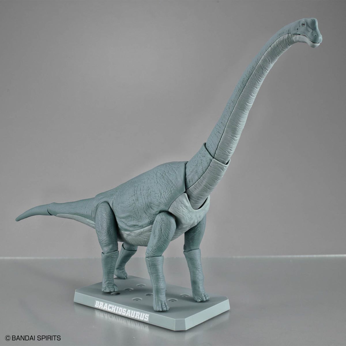 Plannosaurus Brachiosaurus Model Kit