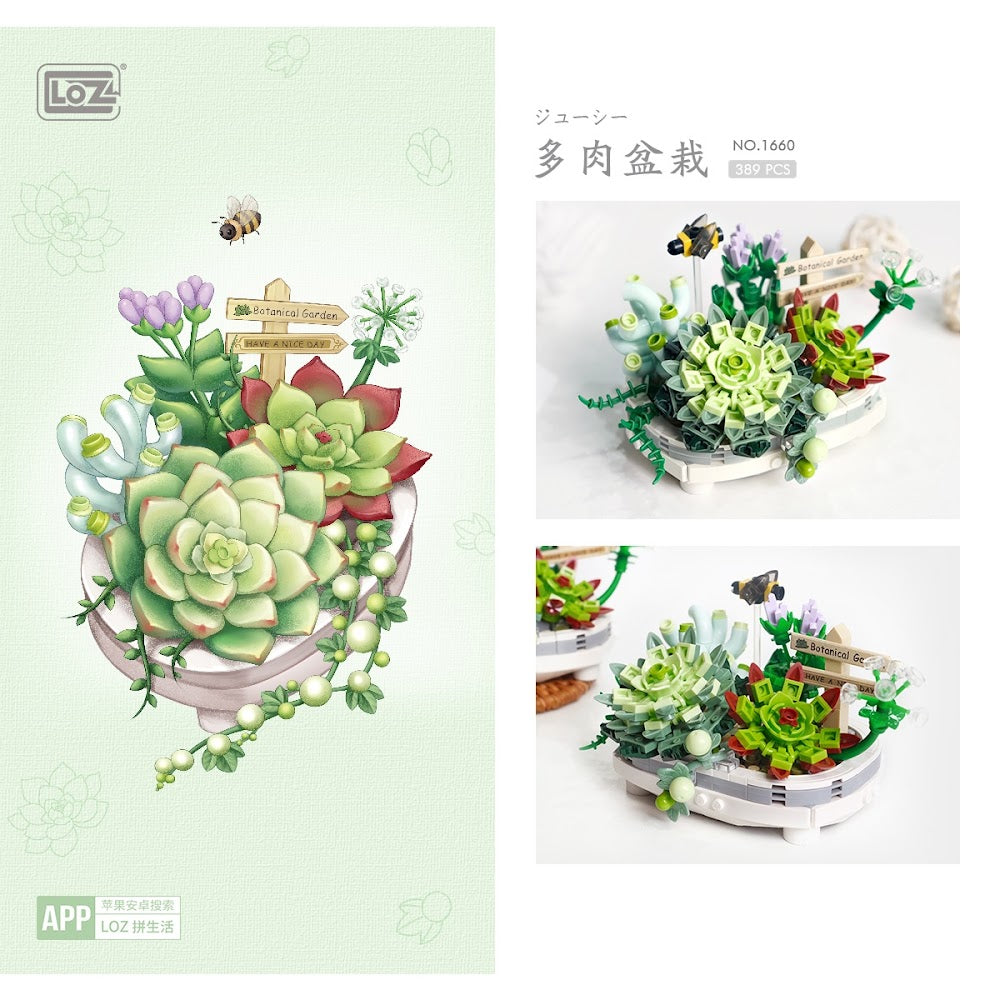 LOZ Eternal Flowers 1660 Potted Succulent Plants