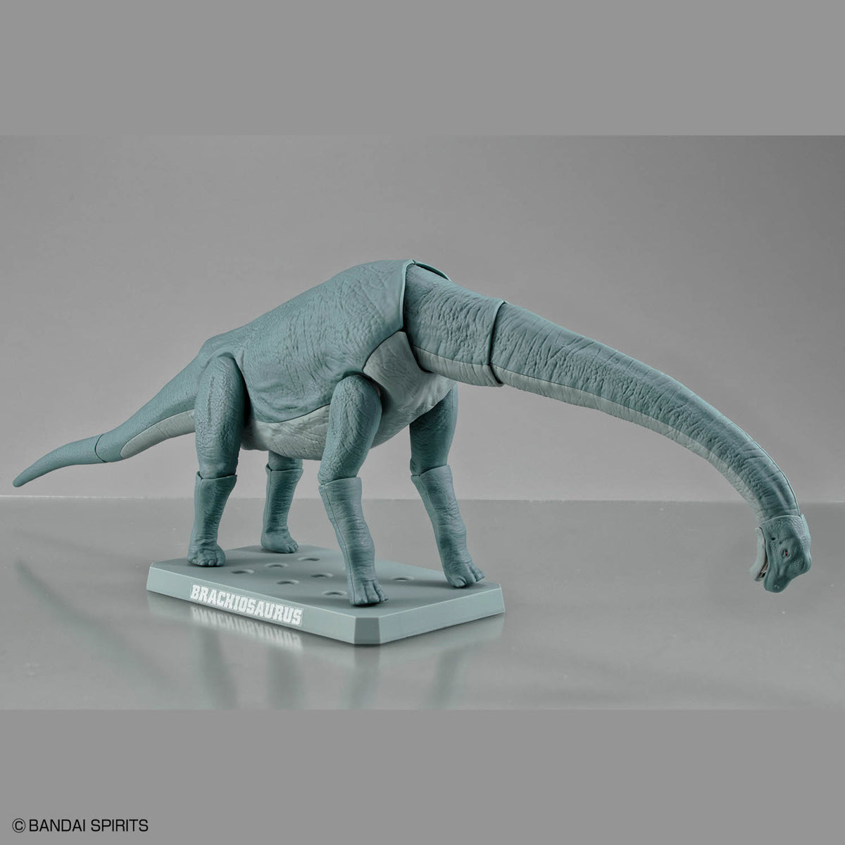 Plannosaurus Brachiosaurus Model Kit