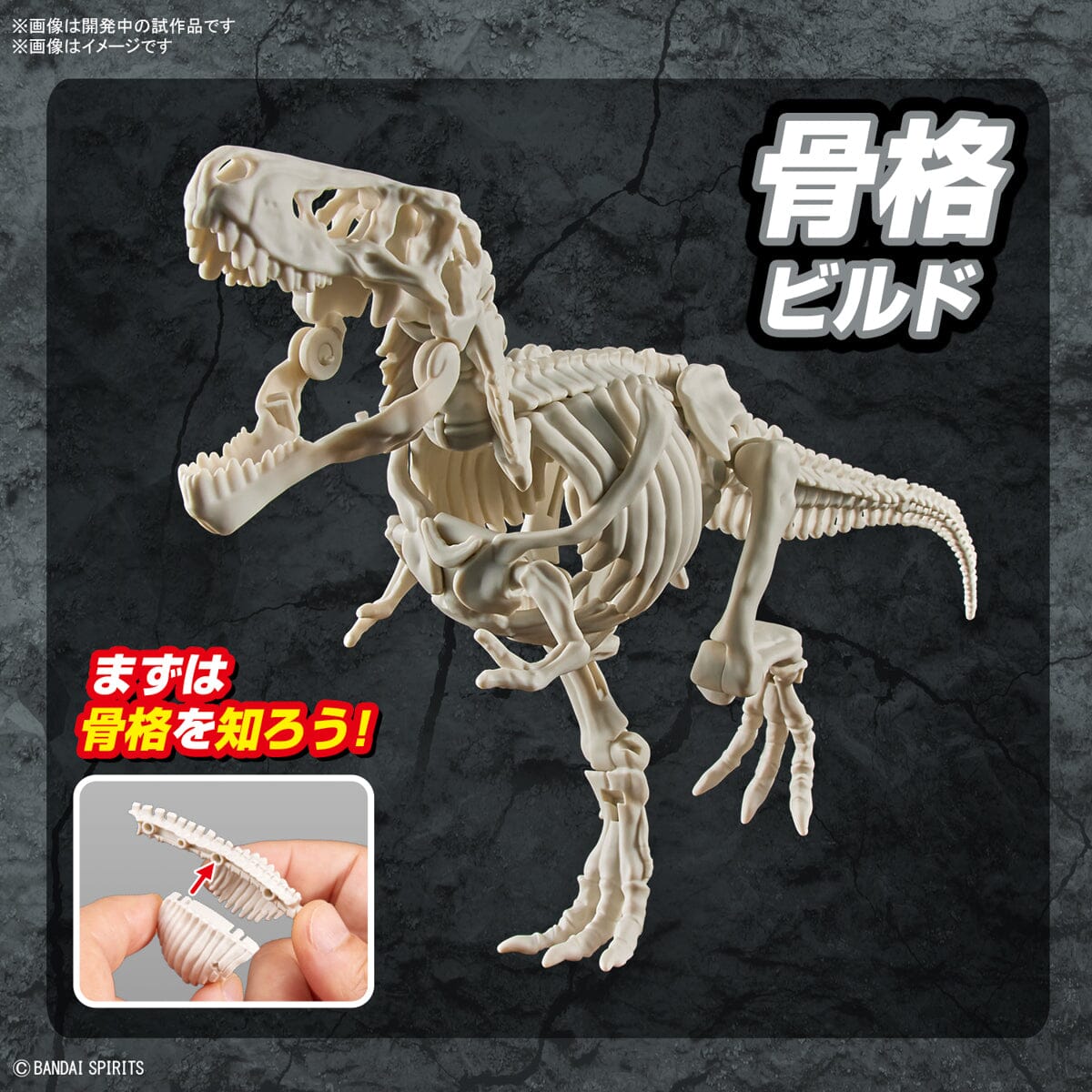 Plannosaurus Tyrannosaurus Model Kit