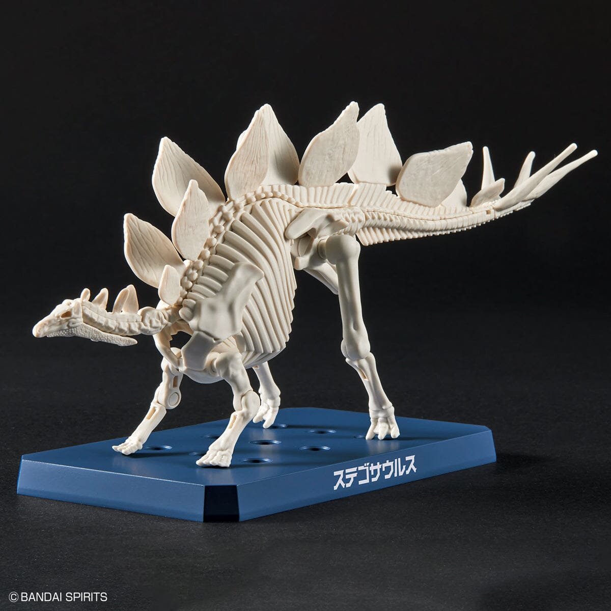 Plannosaurus Stegosaurus Model Kit