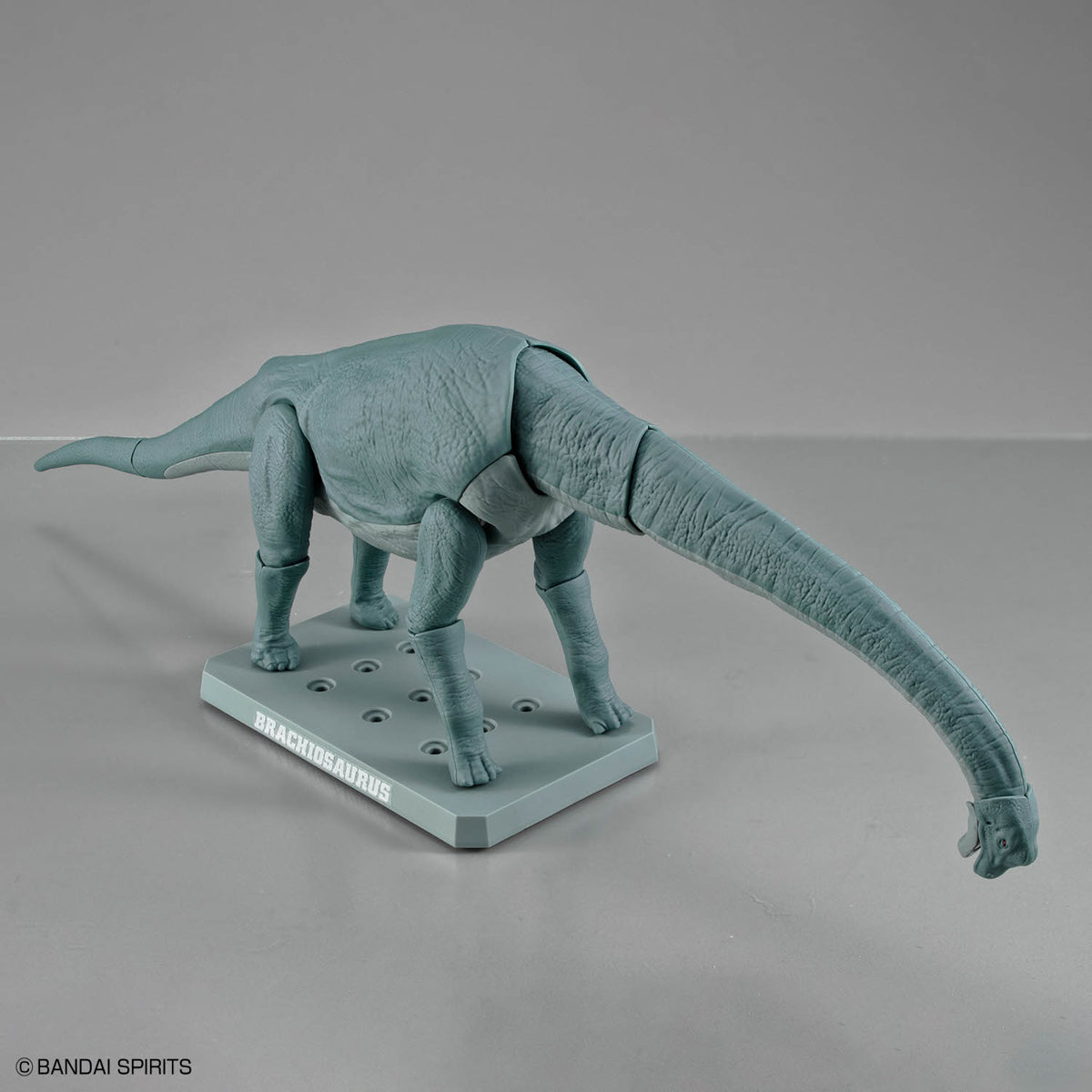 Plannosaurus Brachiosaurus Model Kit