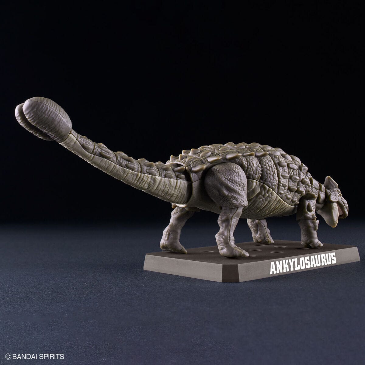 Plannosaurus Ankylosaurus Model Kit