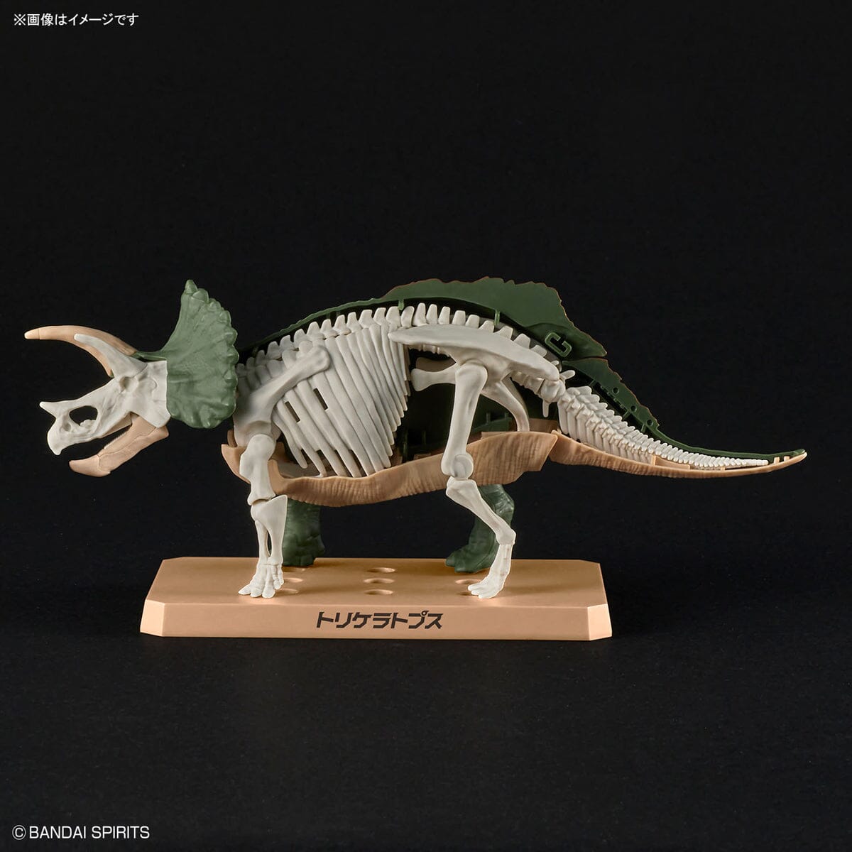 Plannosaurus Triceratops Model Kit