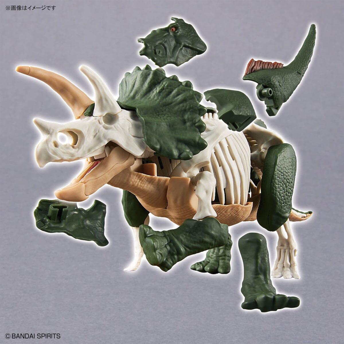 Plannosaurus Triceratops Model Kit