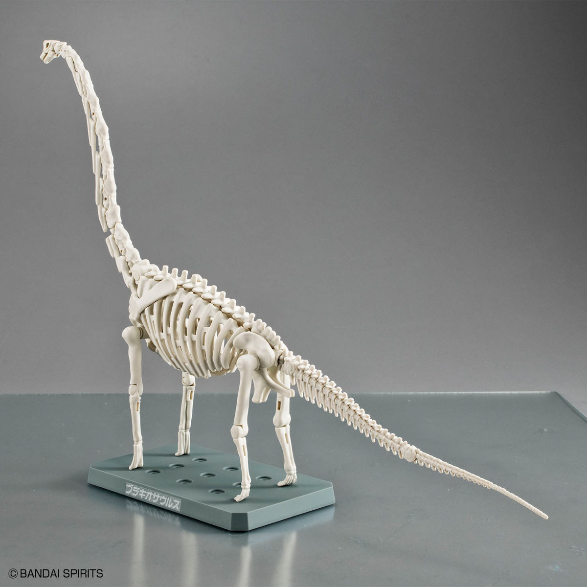 Plannosaurus Brachiosaurus Model Kit