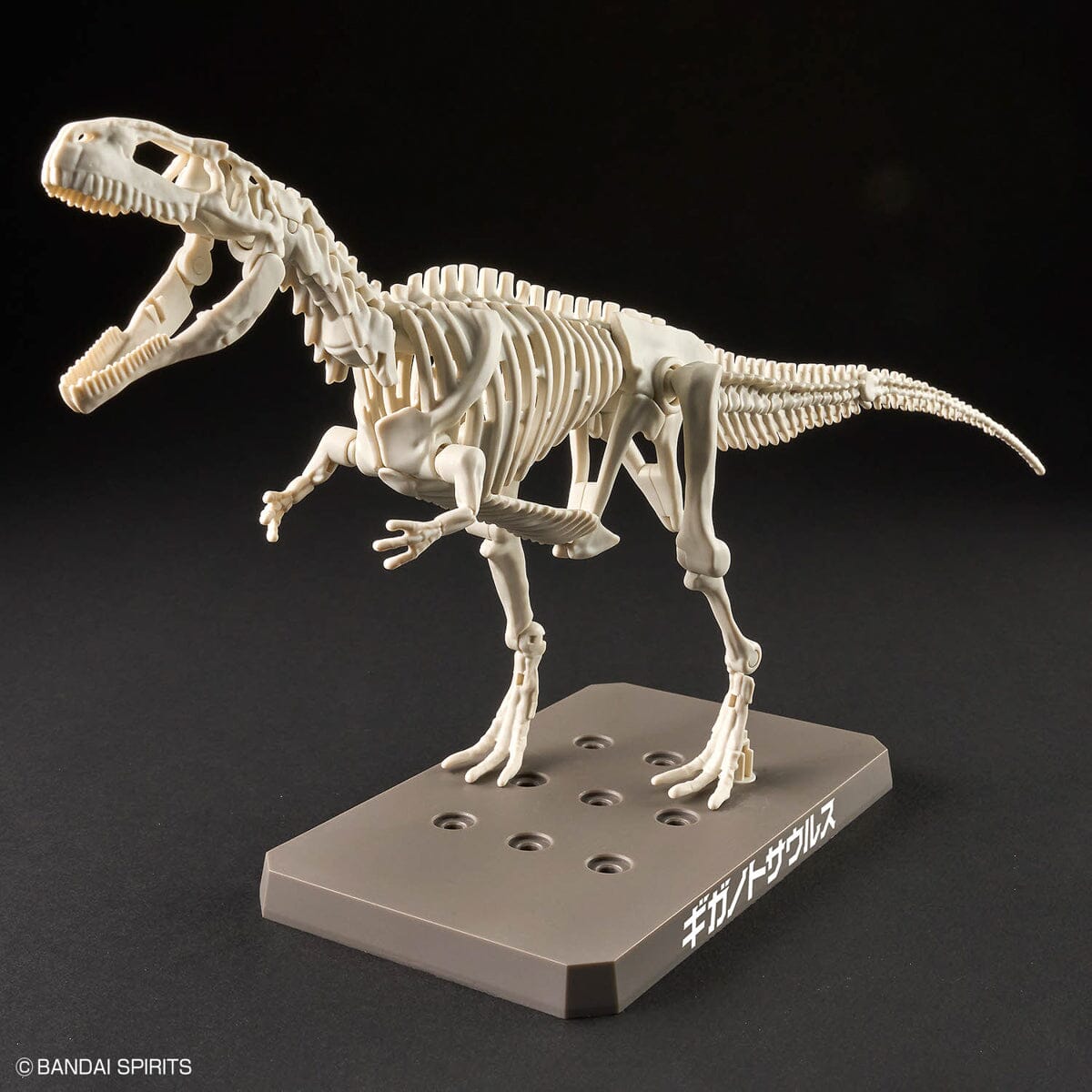 Plannosaurus Giganotosaurus Model Kit