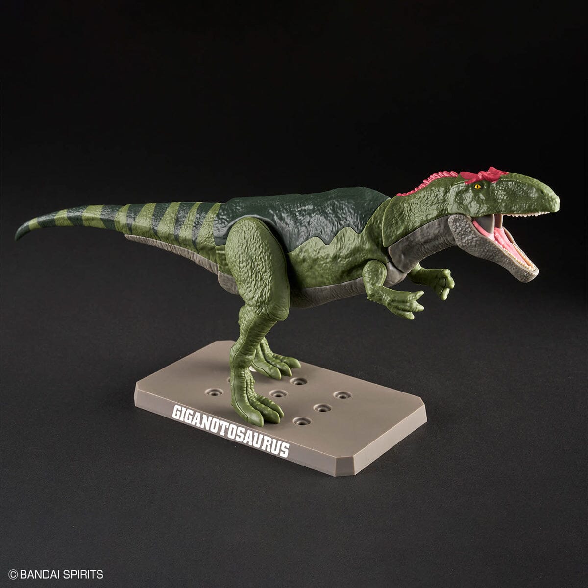 Plannosaurus Giganotosaurus Model Kit