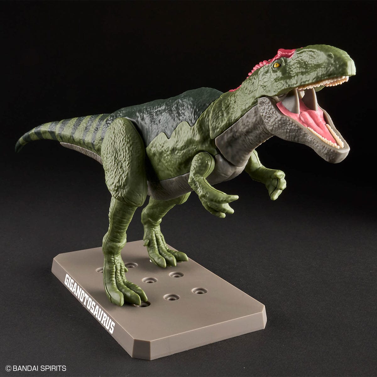 Plannosaurus Giganotosaurus Model Kit