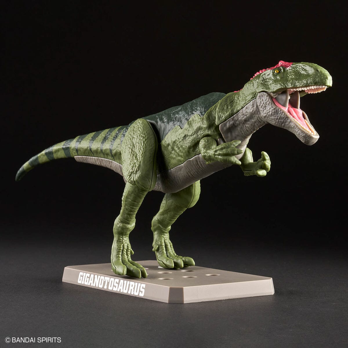 Plannosaurus Giganotosaurus Model Kit